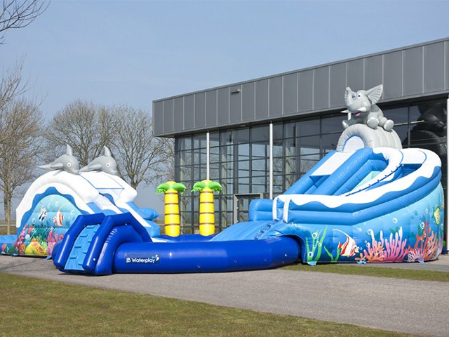 JB Tropical Dolphin Waterpark Inflatable , Inflatable Aqua Park BY-AWP-016